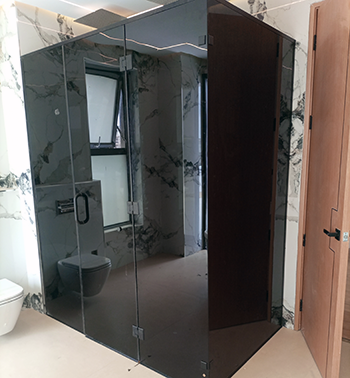 Frameless Shower cub 3